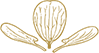 IMAGE DE PLAT