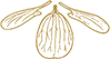 IMAGE DE PLAT